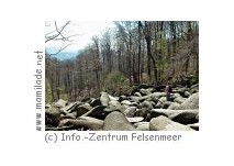 Klettern im Felsenmeer im Odenwald