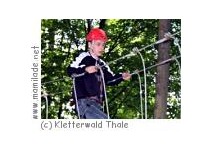 Kletterwald Thale Kletterwald Thale