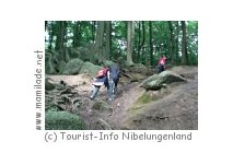 Der Nibelungensteig von Zwingenberg