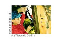 Kindergeburtstag Tierpark Görlitz
