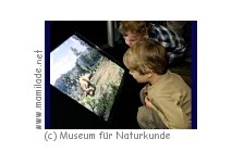 Museum für Naturkunde