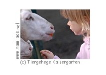 Tiergehege Kaisergarten Oberhausen Tiergehege Kaisergarten Oberhausen