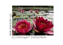 NaturaGart Deutschland NaturaGart Deutschland