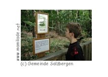 Walderlebnispfad Stoverner Wald Walderlebnispfad Stoverner Wald