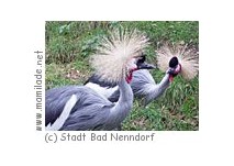 Vogelpark am Krater Bad Nenndorf