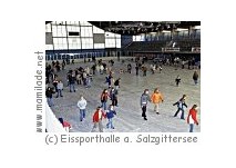 Eissporthalle am Salzgittersee