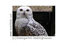 Eulengarten Amelinghausen Eulengarten Amelinghausen