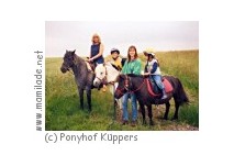 Ponyhof Wulften