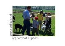 Ponyhof Küppers Ponyhof Küppers