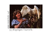 Greifvogel Gehege Bispingen Greifvogel Gehege Bispingen