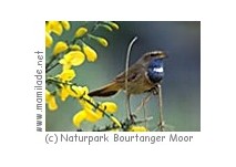 Naturpark Bourtanger Moor Naturpark Bourtanger Moor