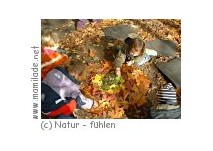 Kindergeburtstag mit Natur - fühlen Kindergeburtstag mit Natur - fühlen