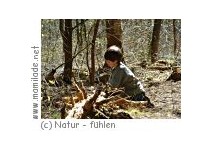 Erlebnis im Wald mit Natur - fühlen Erlebnis im Wald mit Natur - fühlen