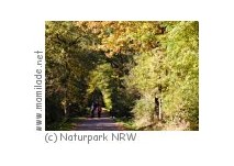Naturpark Arnsberger Wald