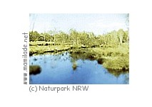 Naturpark Hohemark Naturpark Hohemark