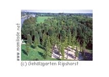 Gehölzgarten Ripshorst