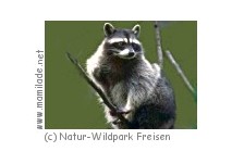 Natur-Wildpark Freisen Natur-Wildpark Freisen