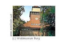 Waldmuseum Burg