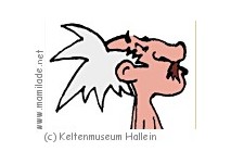 Keltenmuseum Hallein