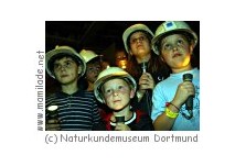 Dortmund Museum für Naturkunde Kindergeburtstag Kindergeburtstag Dortmund