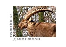Wildpark Eichert Heidenheim