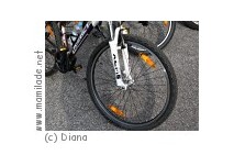 Radtour um den Schliersee