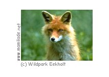 Großenaspe Wildpark Eekholt Wildpark Eekholt