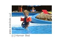 Horner Bad Horner Bad