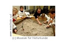 Kindergeburtstag im Museum für Naturkunde