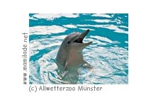 Kindergeburtstag im Delphinarium im Allwetterzoo Münster Kindergeburtstag im Delphinarium im Allwetterzoo Münster