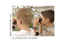 botanika Kindergeburtstag botanika Kindergeburtstag