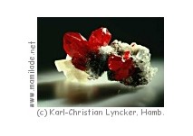 Mineralogisches Museum Hamburg