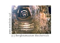Bergbaumuseum Mechernich Schatzsuche Bergbaumuseum Mechernich Schatzsuche