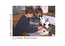 Kindergeburtstag im Haus Ruhrnatur Kindergeburtstag im Haus Ruhrnatur