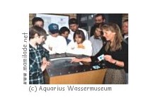 Wassermuseum Aquarius Wassermuseum Aquarius