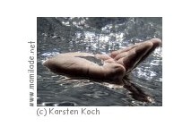 Phaeno - Experimentierlandschaft Phaeno - Experimentierlandschaft
