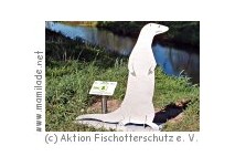 Otter-Pfade Hankensbüttel Otter-Pfade Hankensbüttel