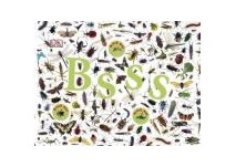 Kinderbuch: Bsss Kinderbuch: Bss