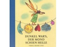 Buch Dunkel war´s Dunkel war´s