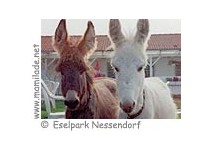 Eselpark Nessendorf