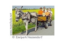 Kutschfahrt im Eselpark Nessendorf