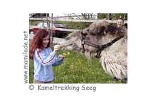 Kameltrekking Farm ü Kameltrekking Seeg im Allgäu