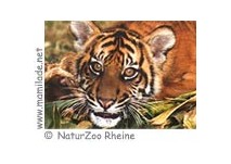 NaturZoo Rheine ü NaturZoo Rheine