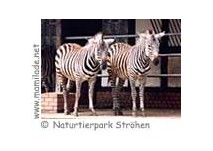 Naturtierpark Ströhen