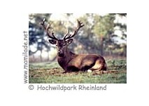 Hochwildpark Rheinland