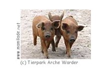 Tierpark Arche Warder