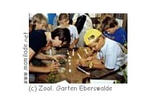 Kindergeburtstag im Zoologischen Garten Eberswalde
