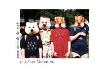 Kindergeburtstag im Zoo Neuwied