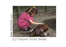 Tierpark Arche Warder