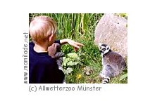Allwetterzoo Münster Kindergeburtstag ü Allwetterzoo Münster